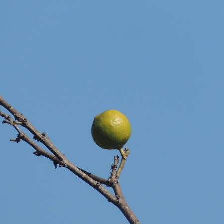 קארנקאס Pousada Sitio Da Serra מראה חיצוני תמונה