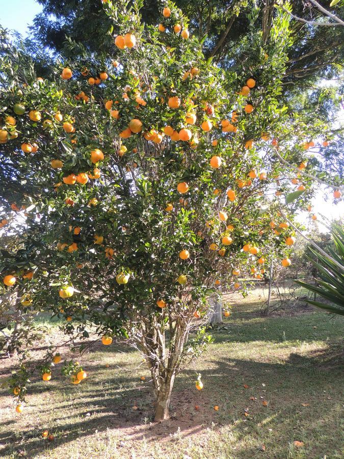 קארנקאס Pousada Sitio Da Serra מראה חיצוני תמונה